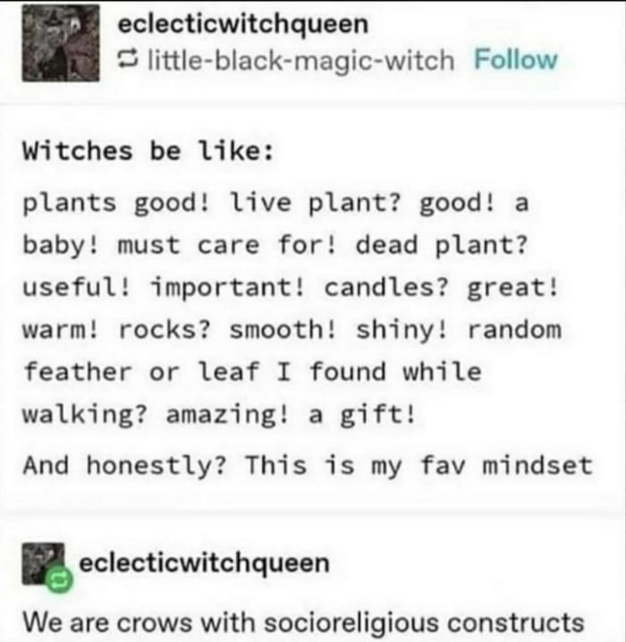 Funny Witch Meme